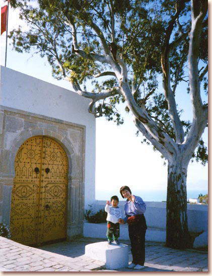 `jWAݕVfBuTChɂ(obN͒nC)SidiBouSaid,Tunisia