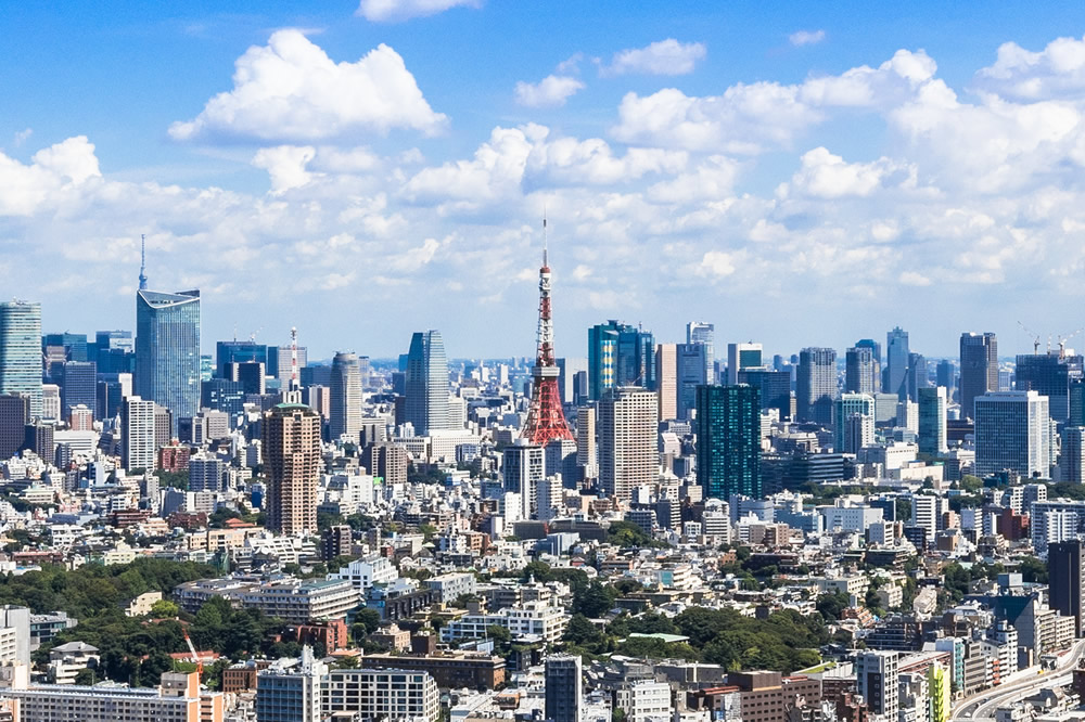 東京タワーを望む都市の景観
